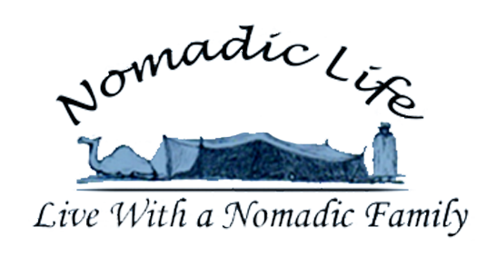 Logo Nomadic